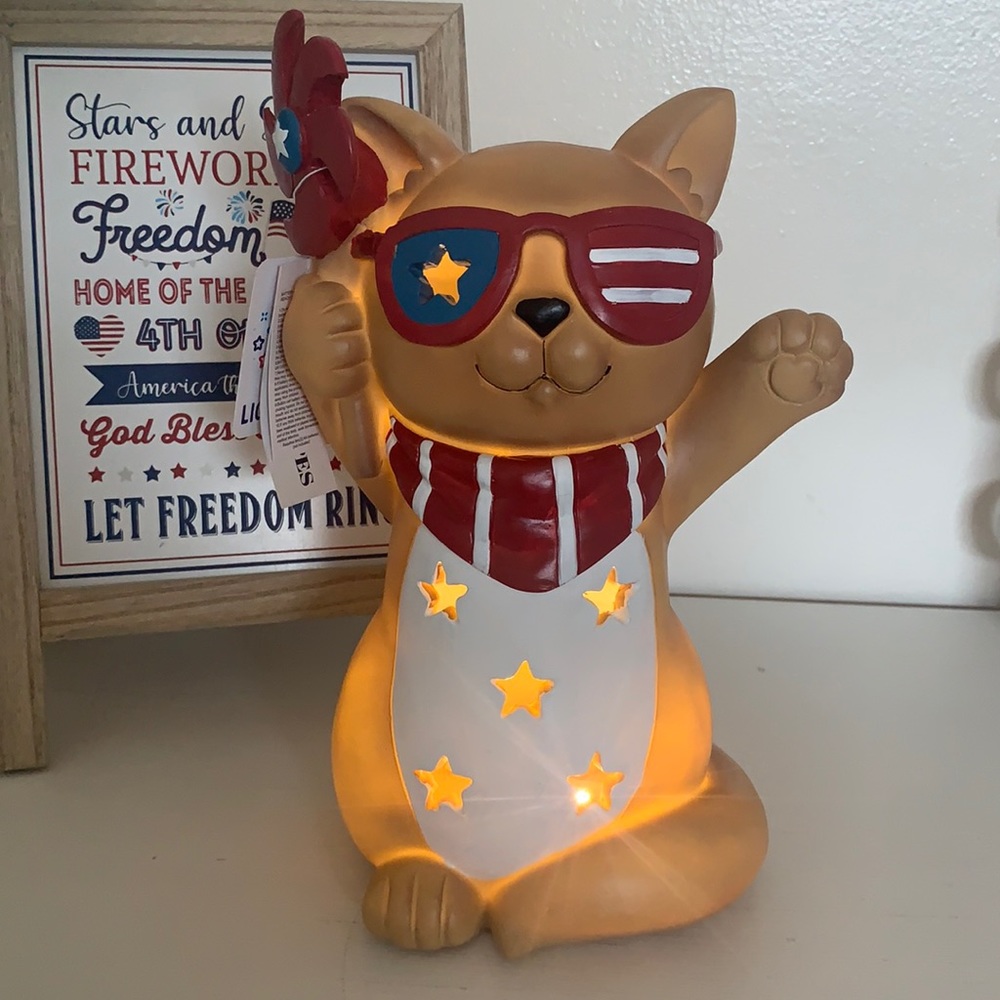 Stars and Stripes Patriotic Cute Light Up Cat. Brand New. Requires Batteries.